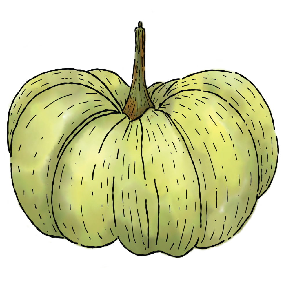 Pumpkins in watercolor style 2 png