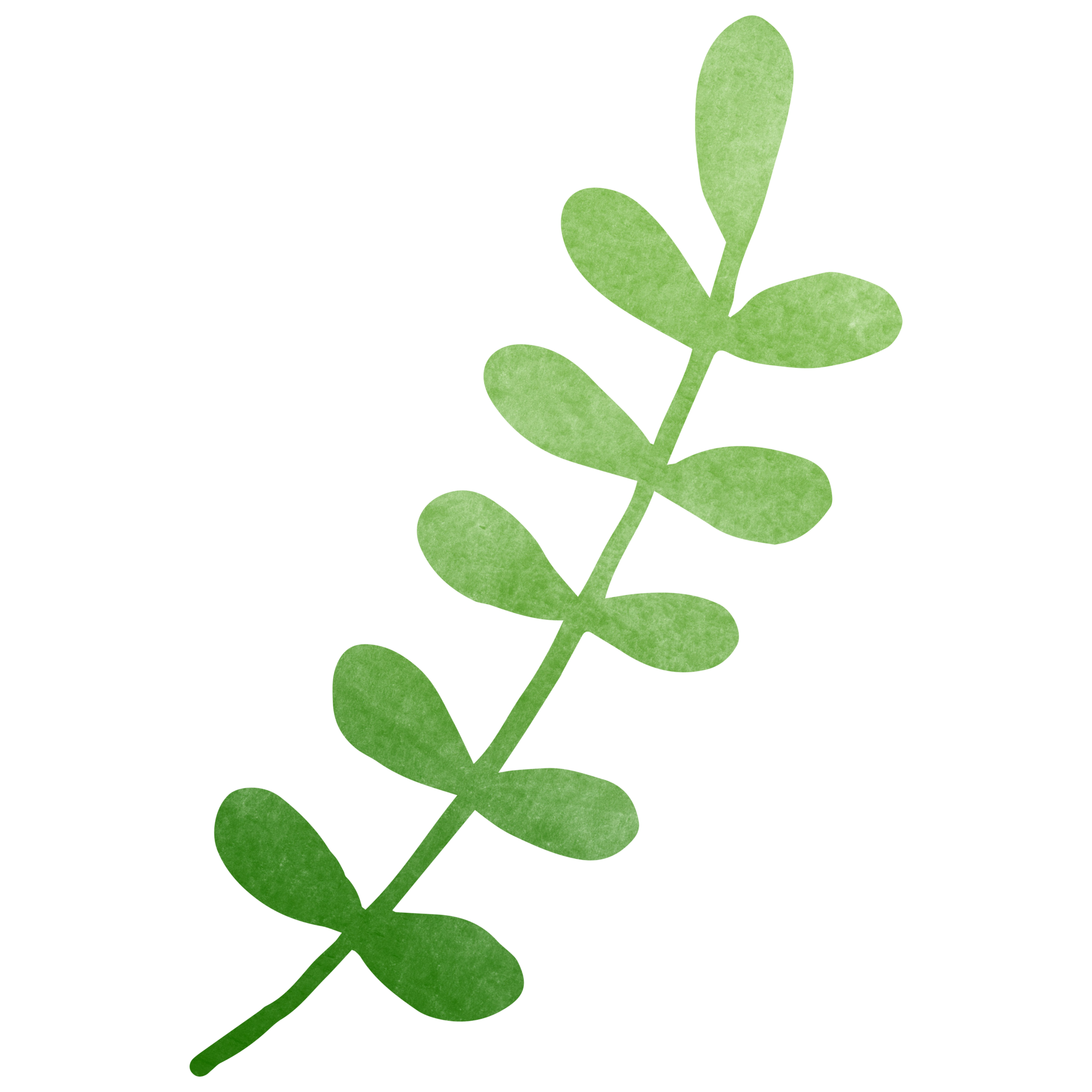 Free Aquarell einfaches grünes Blatt. transparente PNGCliparts für