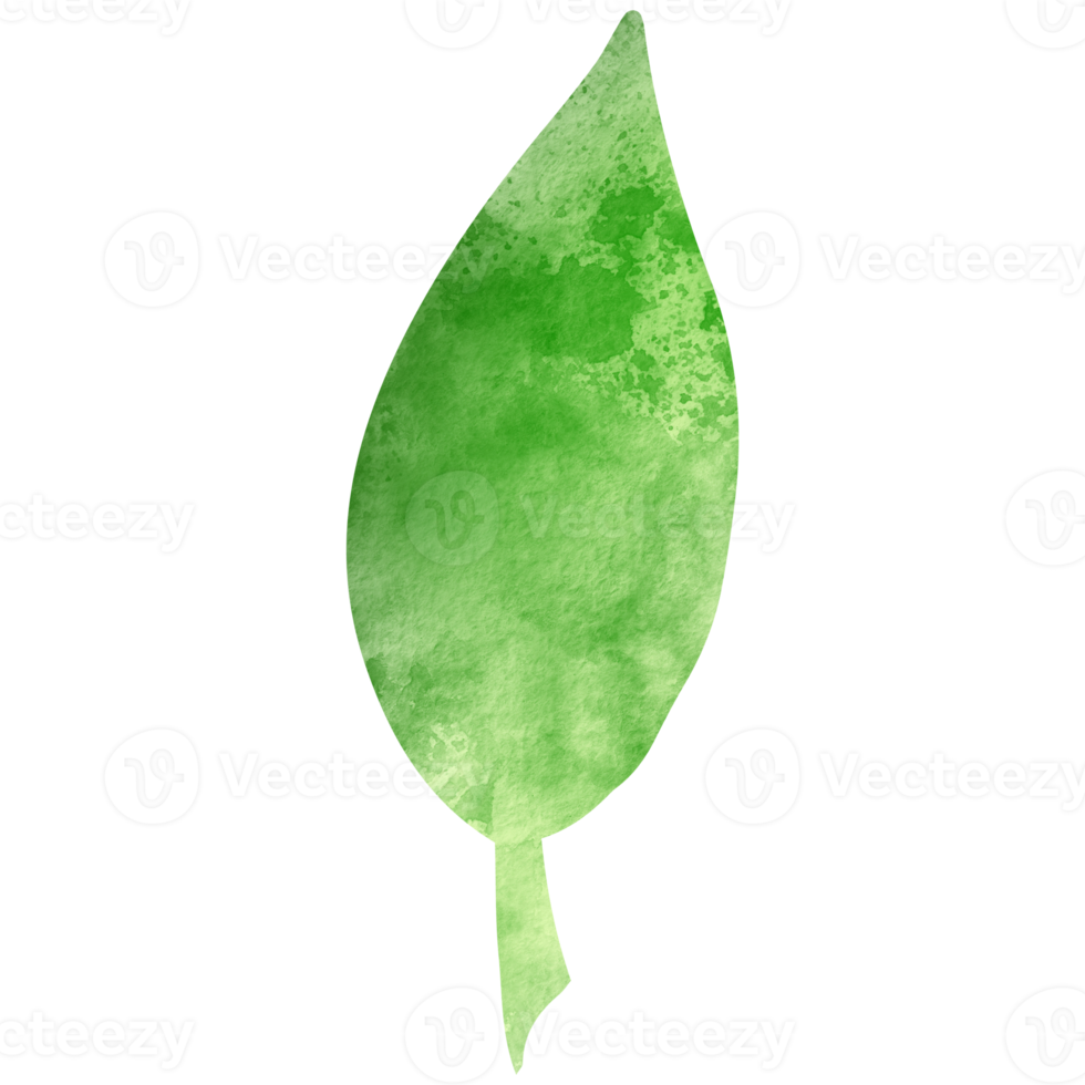 vattenfärg enkel grön blad. transparent png ClipArt för design