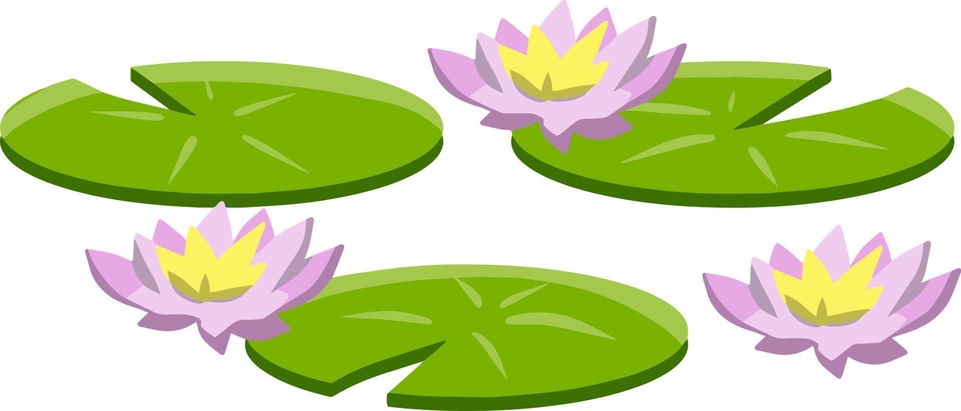 Nenuphars. Water lily. Plant on lake and reservoir. Big green leaf. Element of nature, forest and wild life. Swamp Pink flowers. Flat cartoon vector