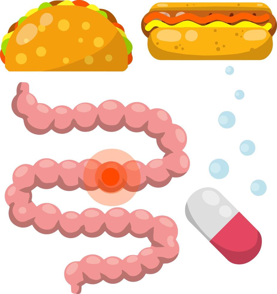 intestino. sistema digestivo humano. mancha roja enferma. píldora médica para la indigestión. comida rápida chatarra, hot dog, tacos. ilustración plana de dibujos animados. conjunto de objetos de hospital. vector