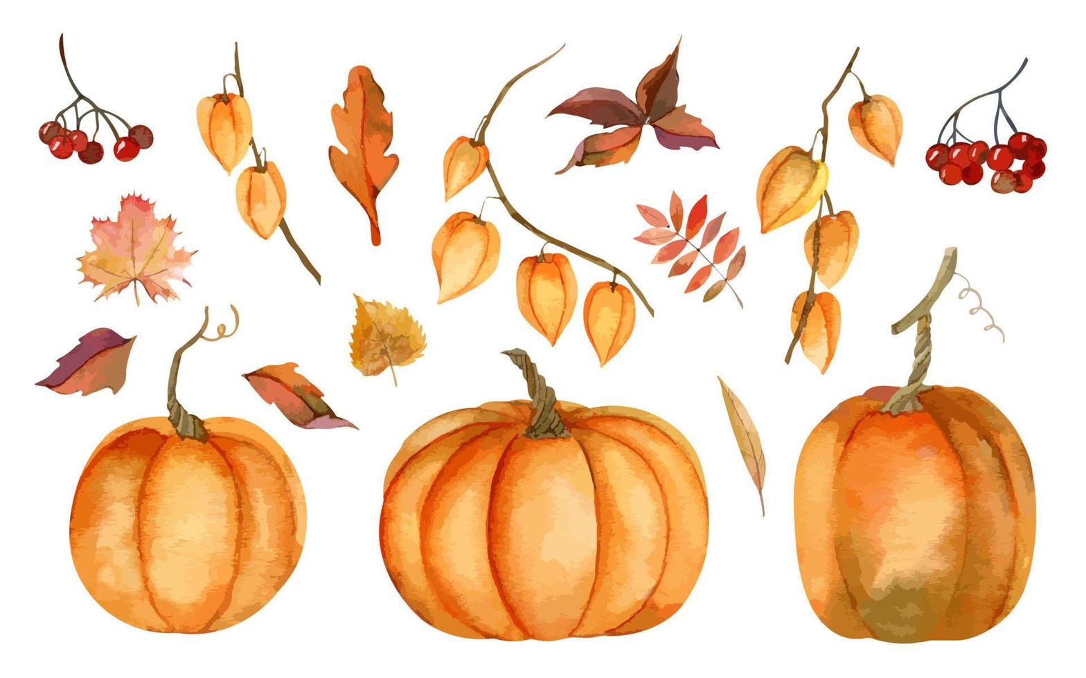Autumn big set with orange watercolor Pumpkins and fall yellow Leaves on white isolated background. Red berry of ashberry and physalis branches. Hand drawn vector illustration