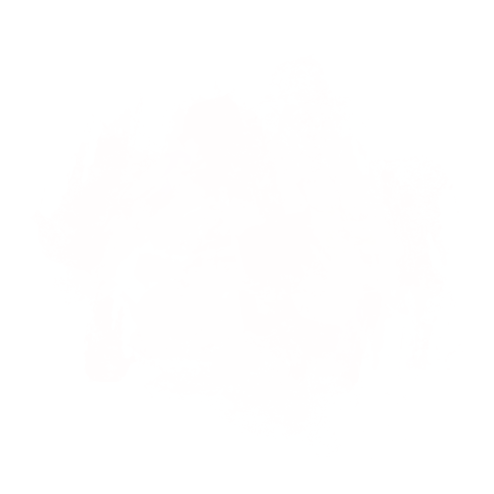 White Paint Splash png