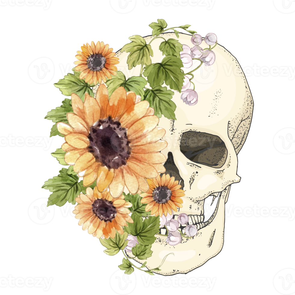 floreale cranio sublimazione png,teschio mano disegnato vecchio schizzo, vintage stile, boho, retrò, hippie, bouquet set, girasoli acquerello png