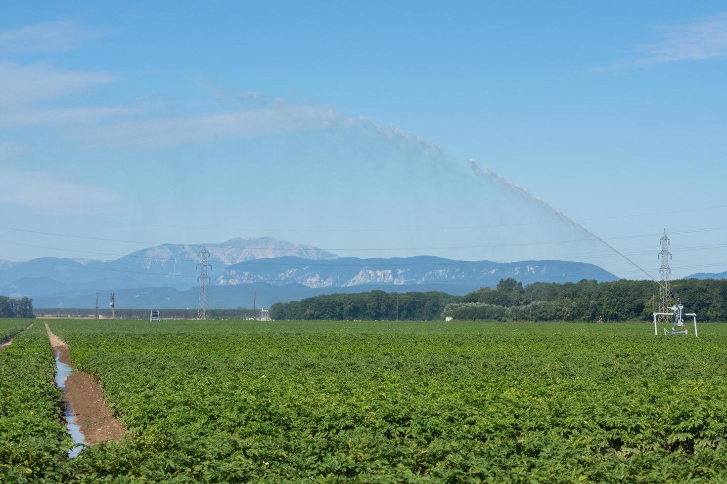 irrigation machine on a green field on a flat landscape photo