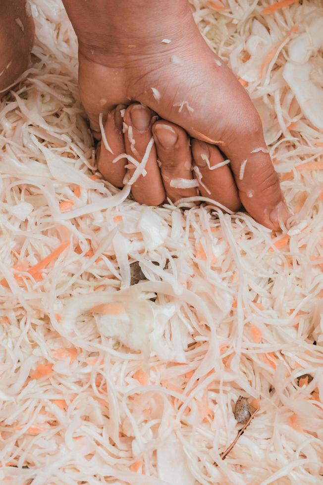 Harvesting cabbage in marinade, sauerkraut at home, woman hands ...