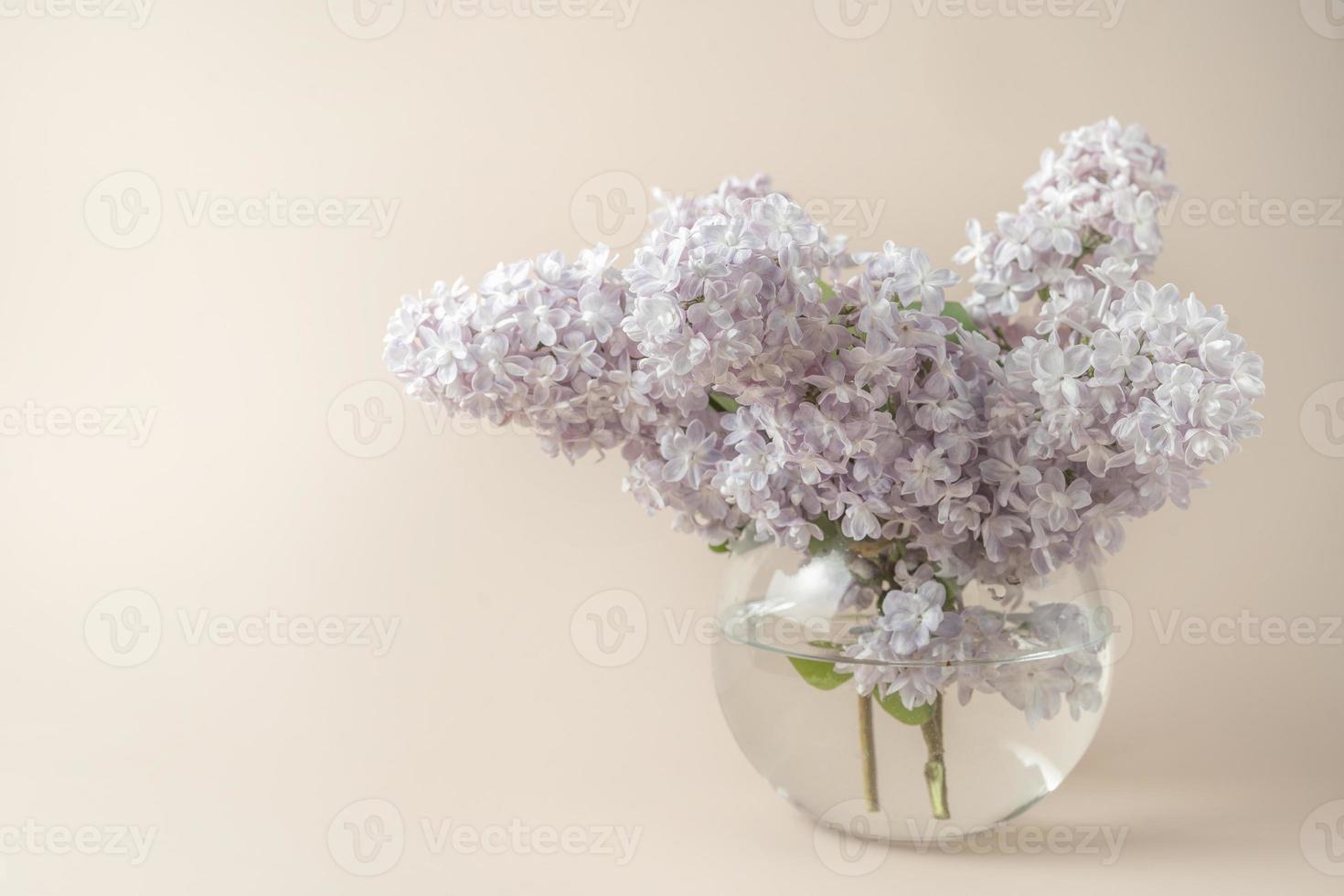 Lilac standing in a vase photo