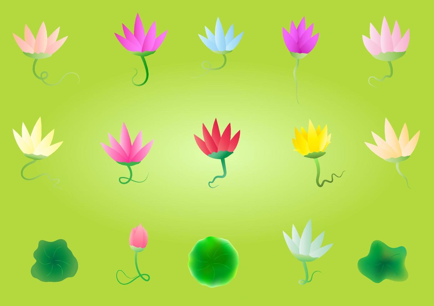 Hello summer spa flower lotus botany icon set element decoration abstract background pattern vector illustration