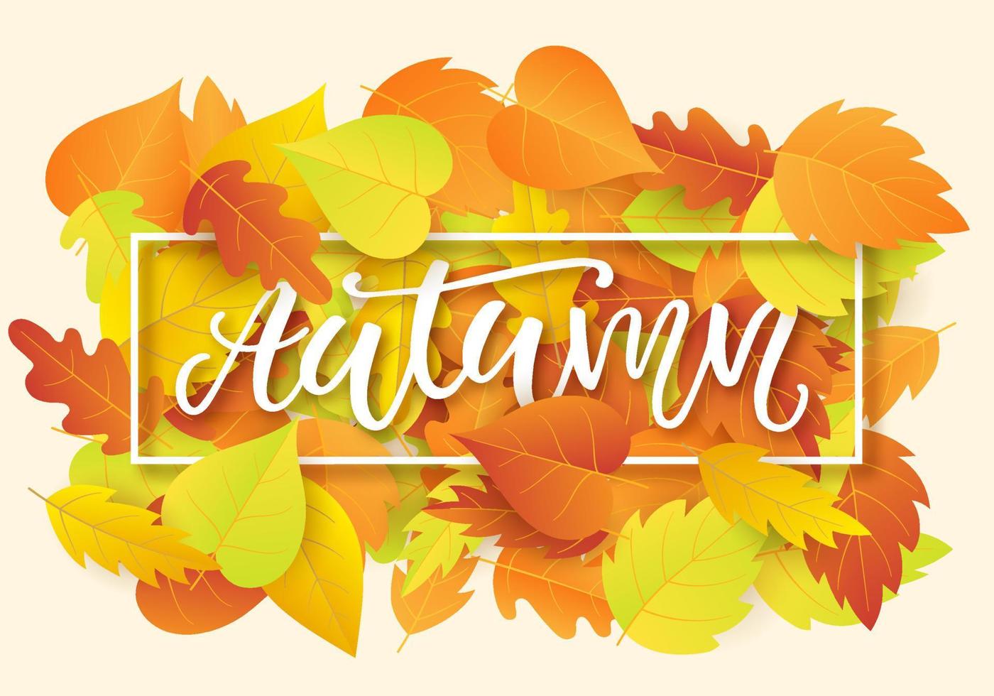 Autumn banner template with bright fall leaves vector