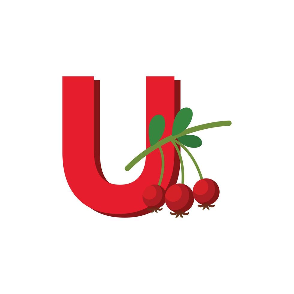 Letter U Alphabet Fruits Ugni, Clip Art Vector, Illustration Isolated on a white background vector