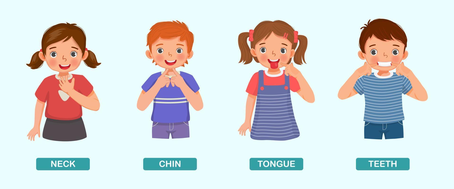 cute kids showing by pointing different body parts of human anatomy such as neck, chin, tongue, teeth vector