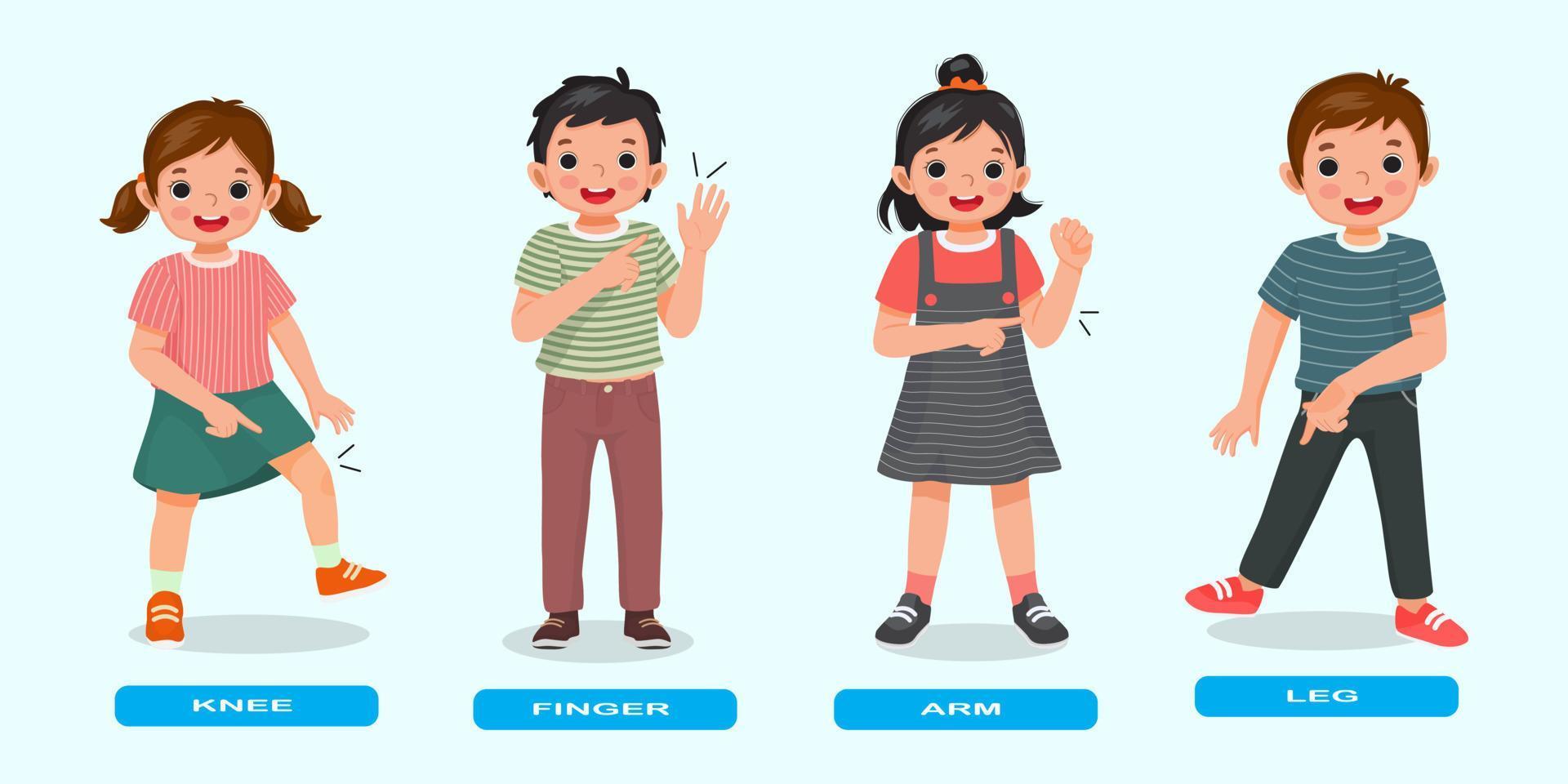 cute kids showing by pointing different body parts of human anatomy such as knee, finger, arm, leg vector