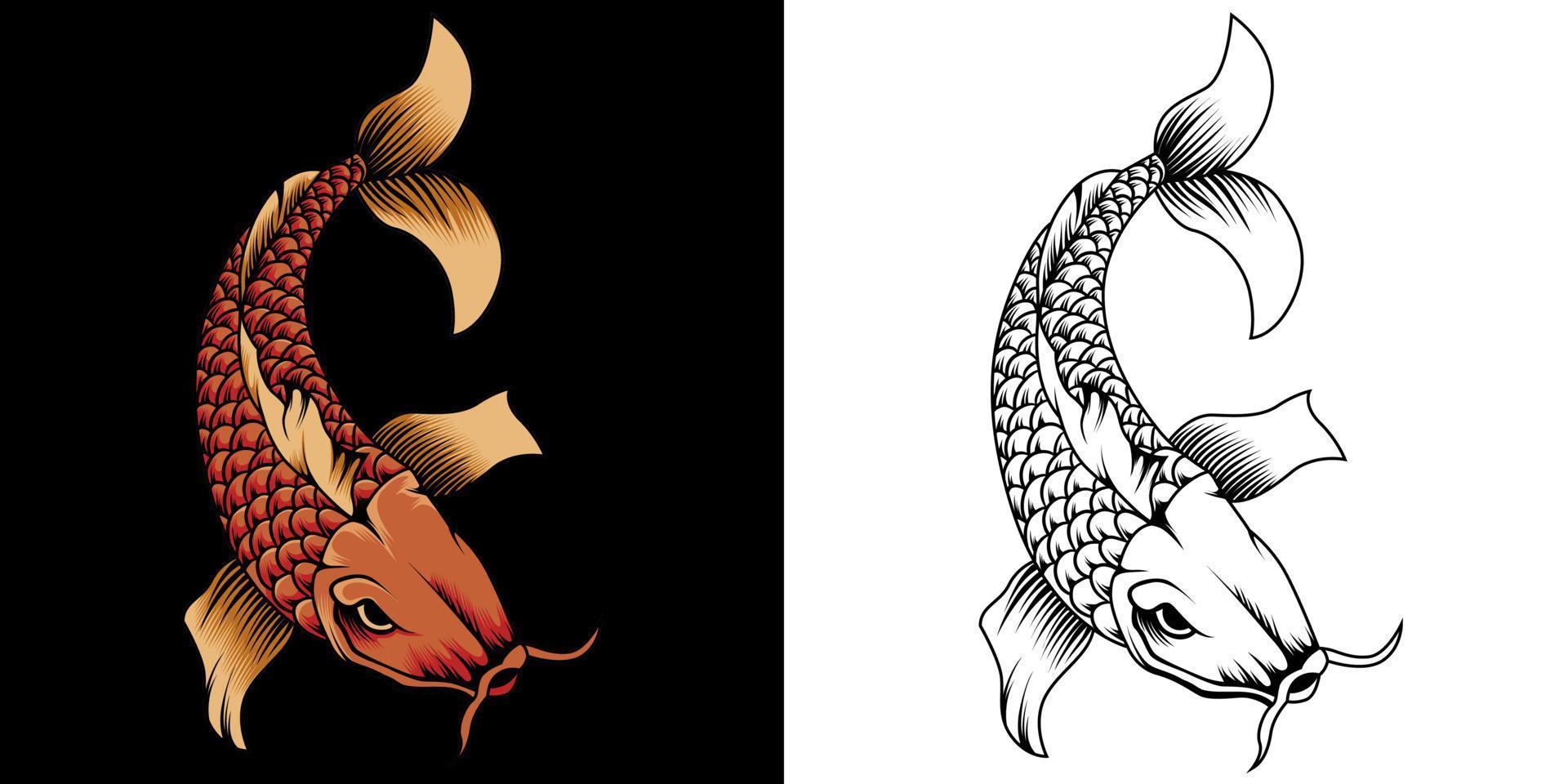 koi fish japan vector illustration