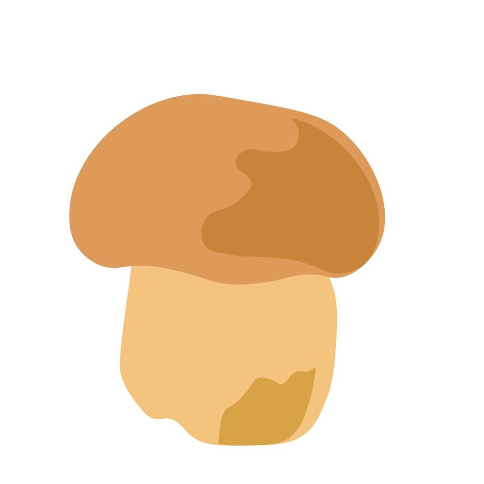 Mushroom Character. Mushroom Illustration, Mushroom Mascot Character vector