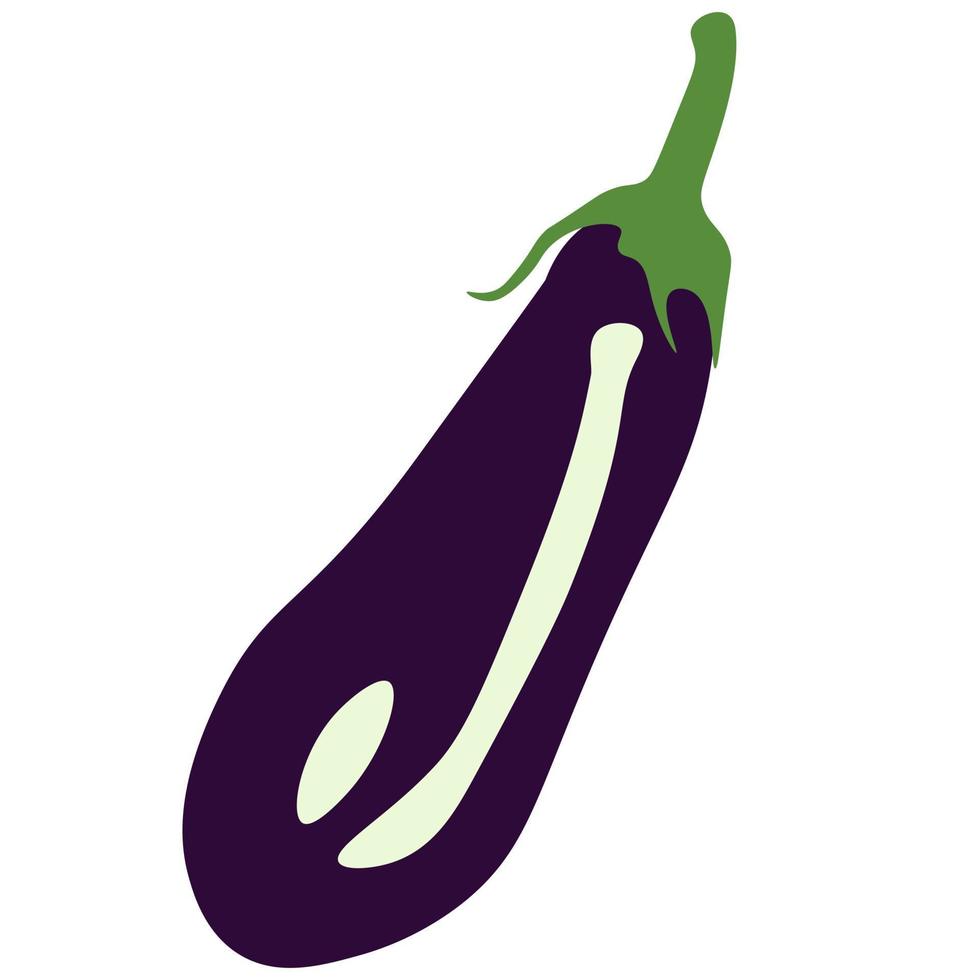 Eggplant Vector Illustration. Eggplant cartoon.