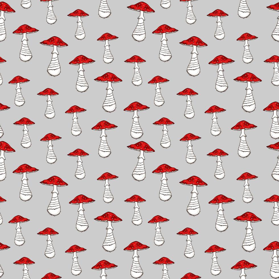 Amanita red mushroom seamless pattern.Vector hand drawing doodle cartoon illustration design. Fly agaric mushroom seamless pattern. vector