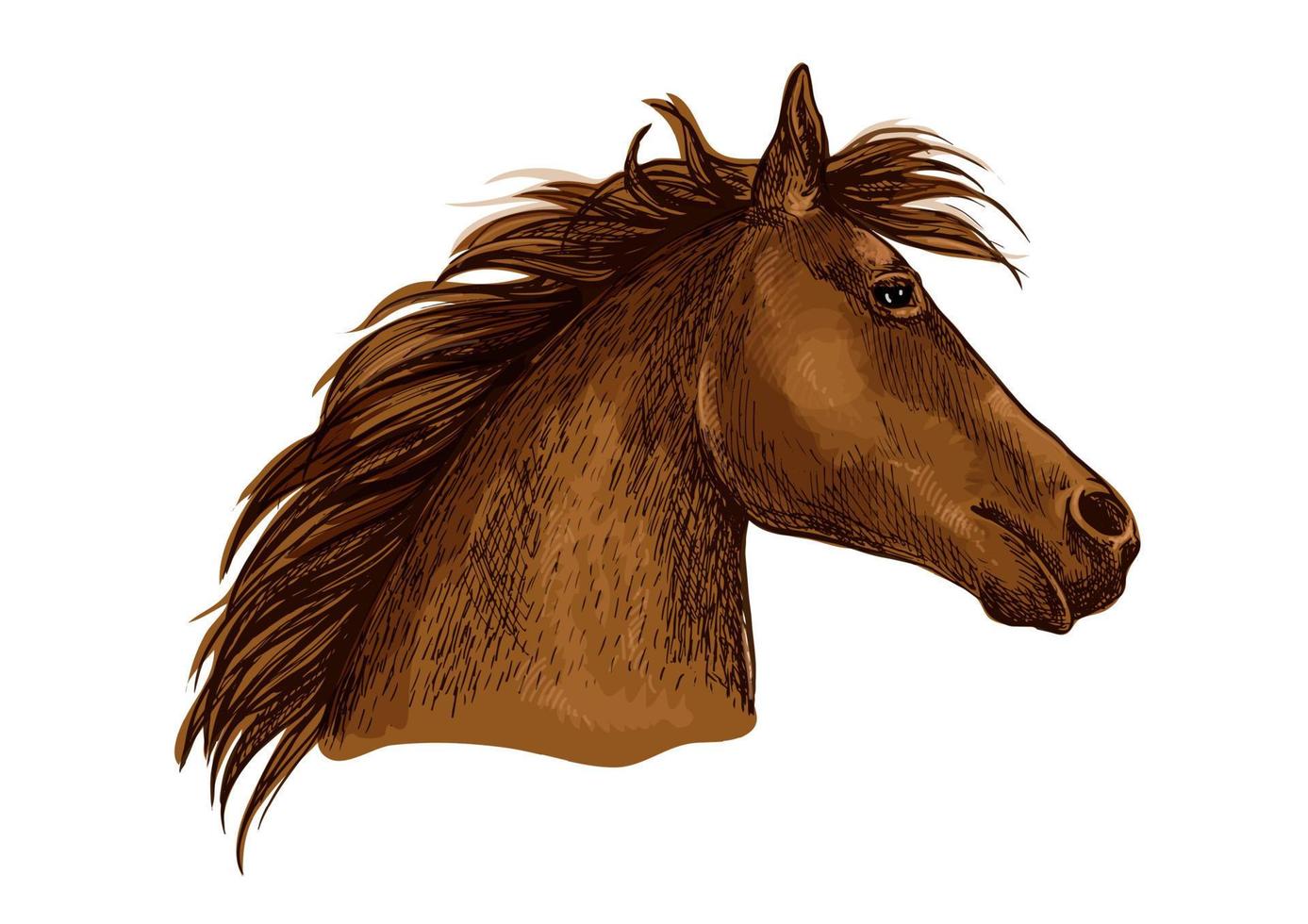 retrato artístico del bosquejo de la cabeza de caballo marrón vector