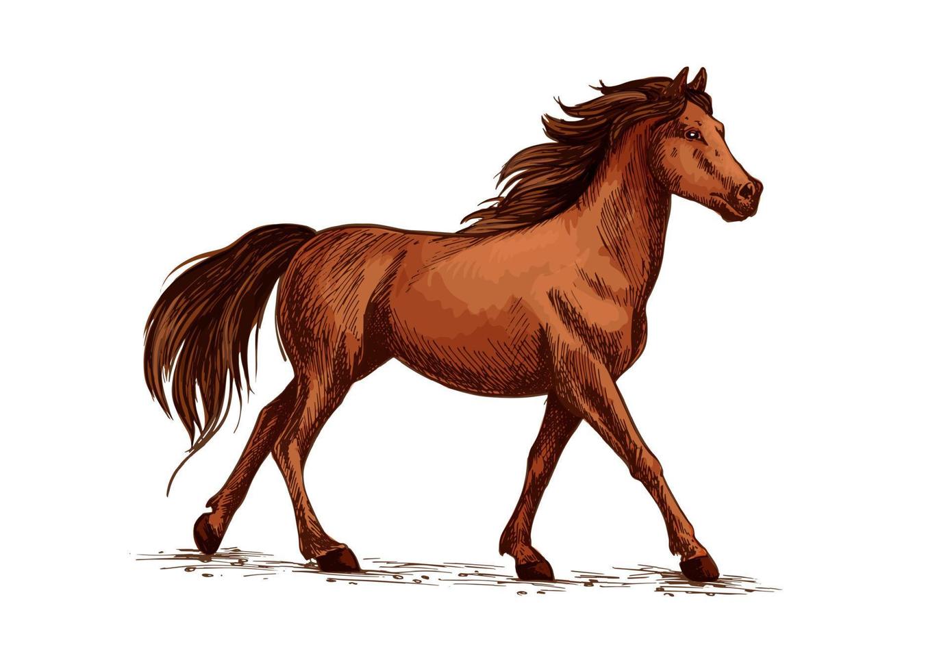 caballo o semental, mustang corriendo boceto vector