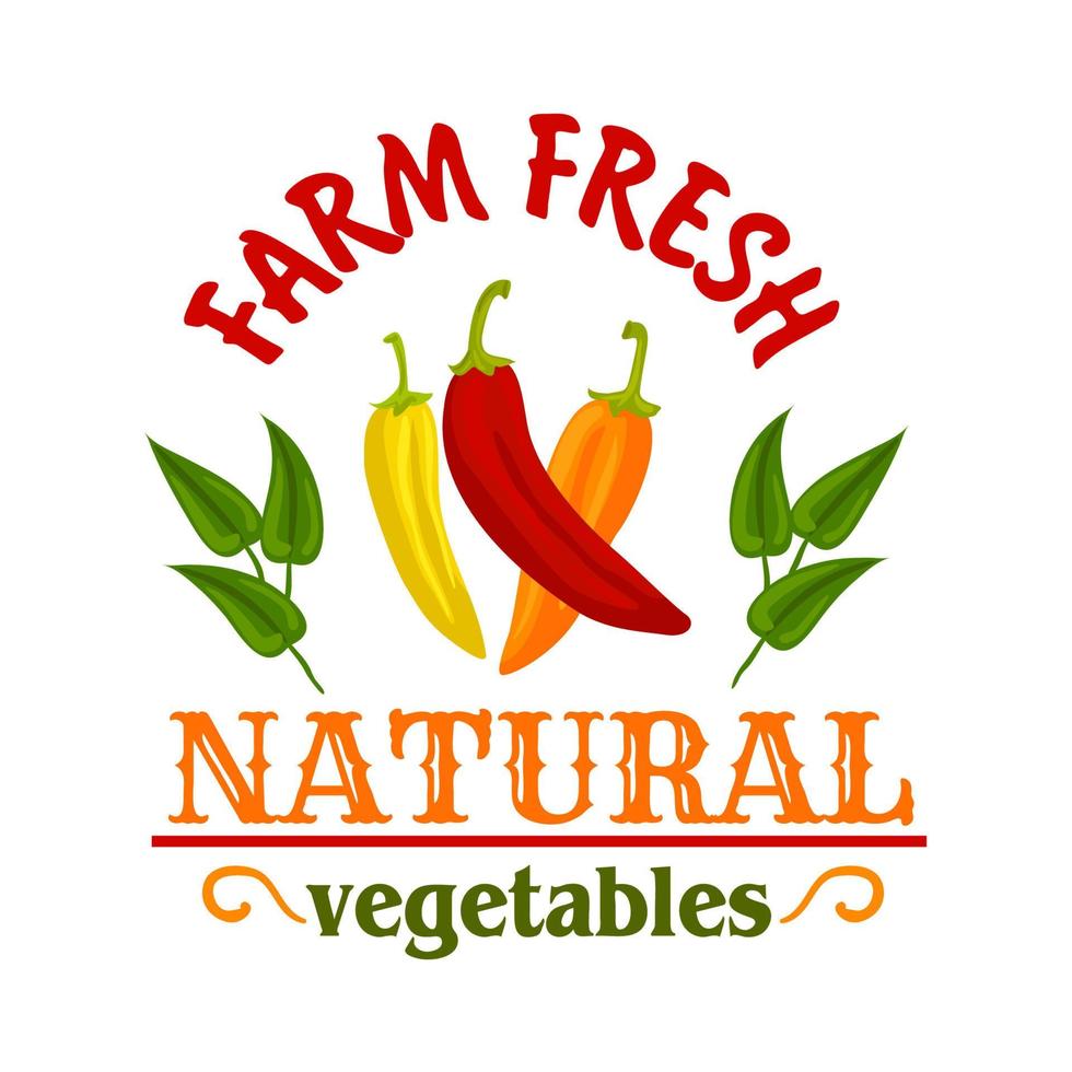 Hot chilli and cayenne peppers vegetable badge vector