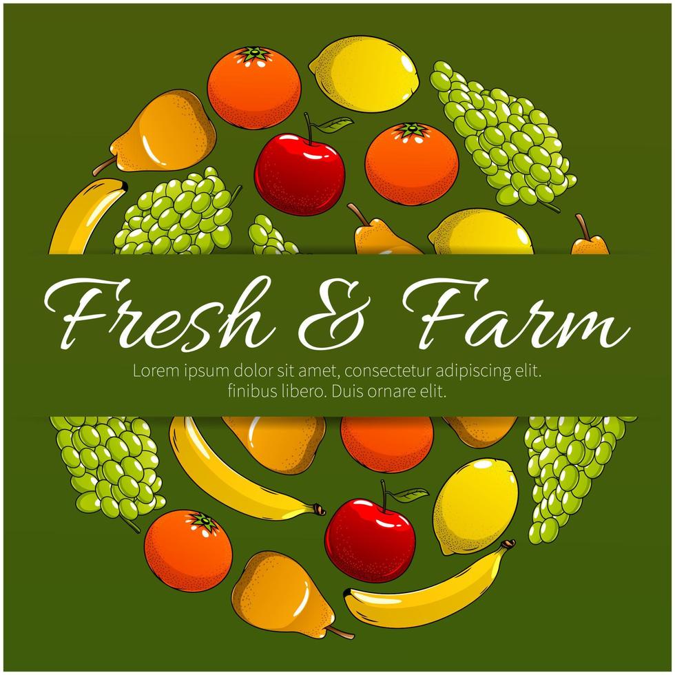 cartel de vector de frutas frescas y de granja