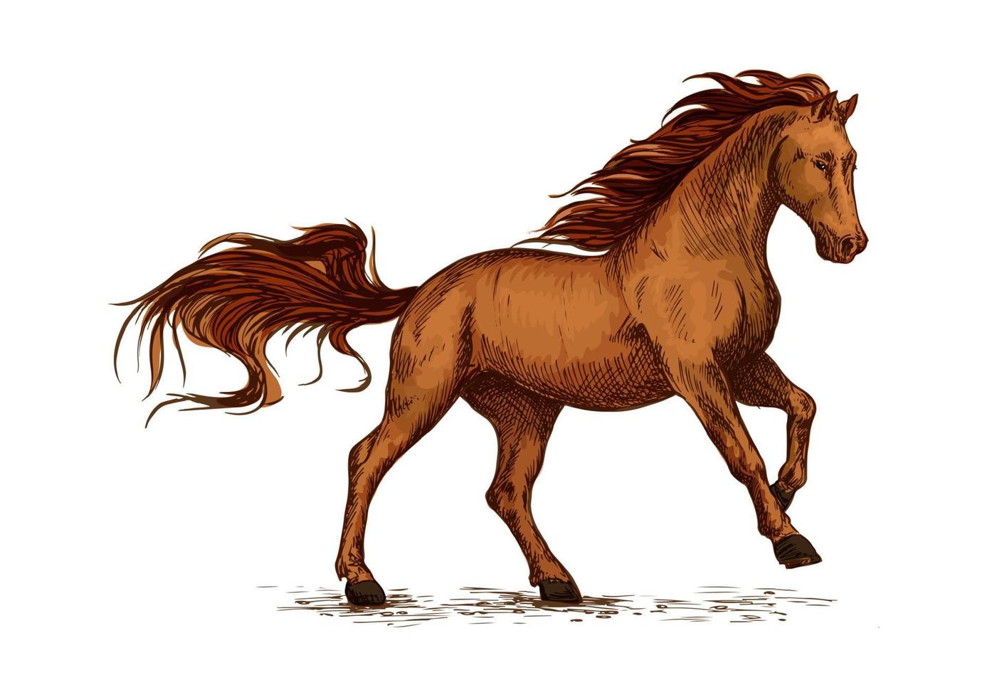 caballo corriendo símbolo del deporte de la carrera de caballos equinos vector