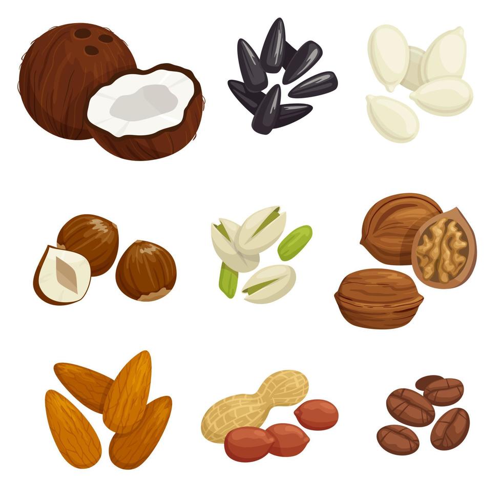 Nuts, grain and kernels vector icons