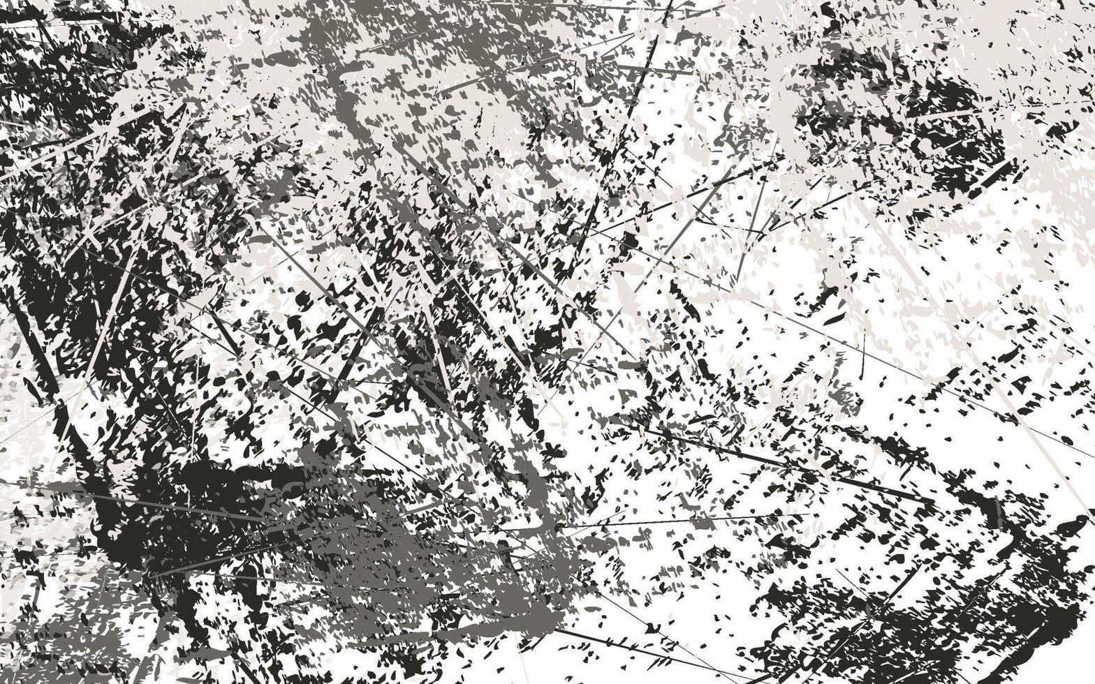 Abstract grunge texture black and white background vector