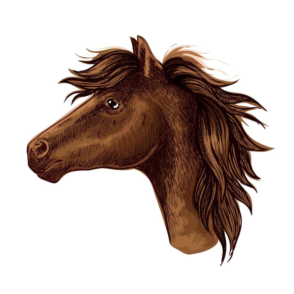 cabeza de animal de caballo árabe marrón vector