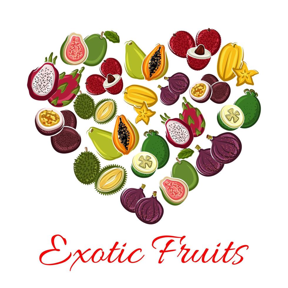 Exotic tropical fresh fruits heart vector poster