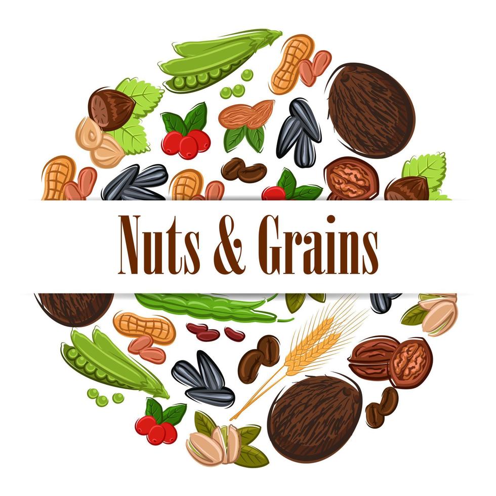 nueces y granos nutritivos en forma redonda emblema vector