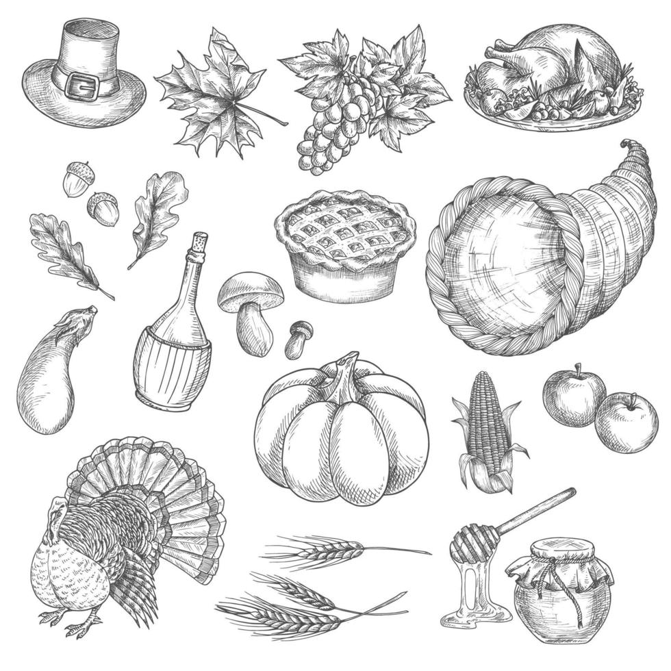 Thanksgiving sketch vector isolated icons