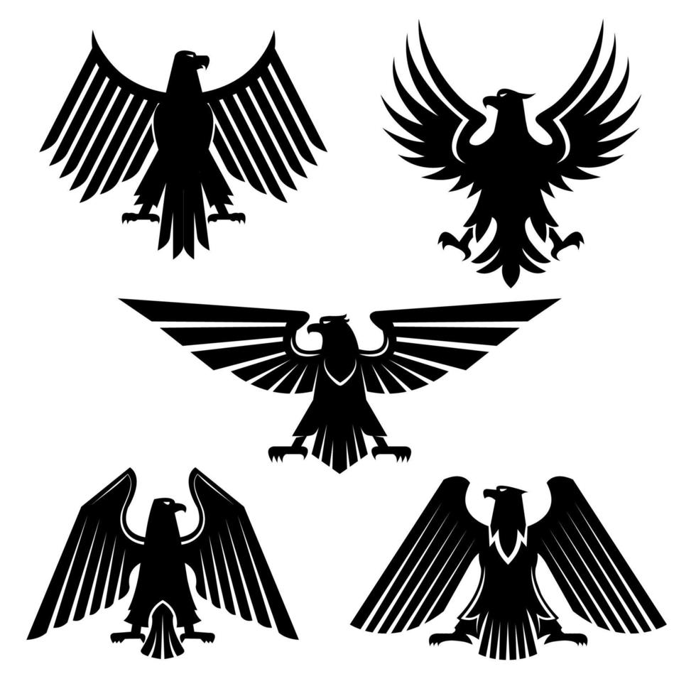 conjunto de iconos heráldicos de halcón y águila, halcón vector