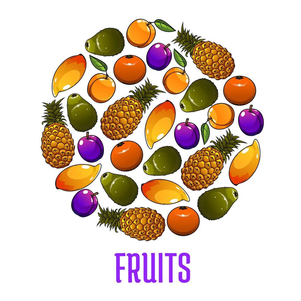 emblema de iconos de frutas frescas en forma de círculo vector