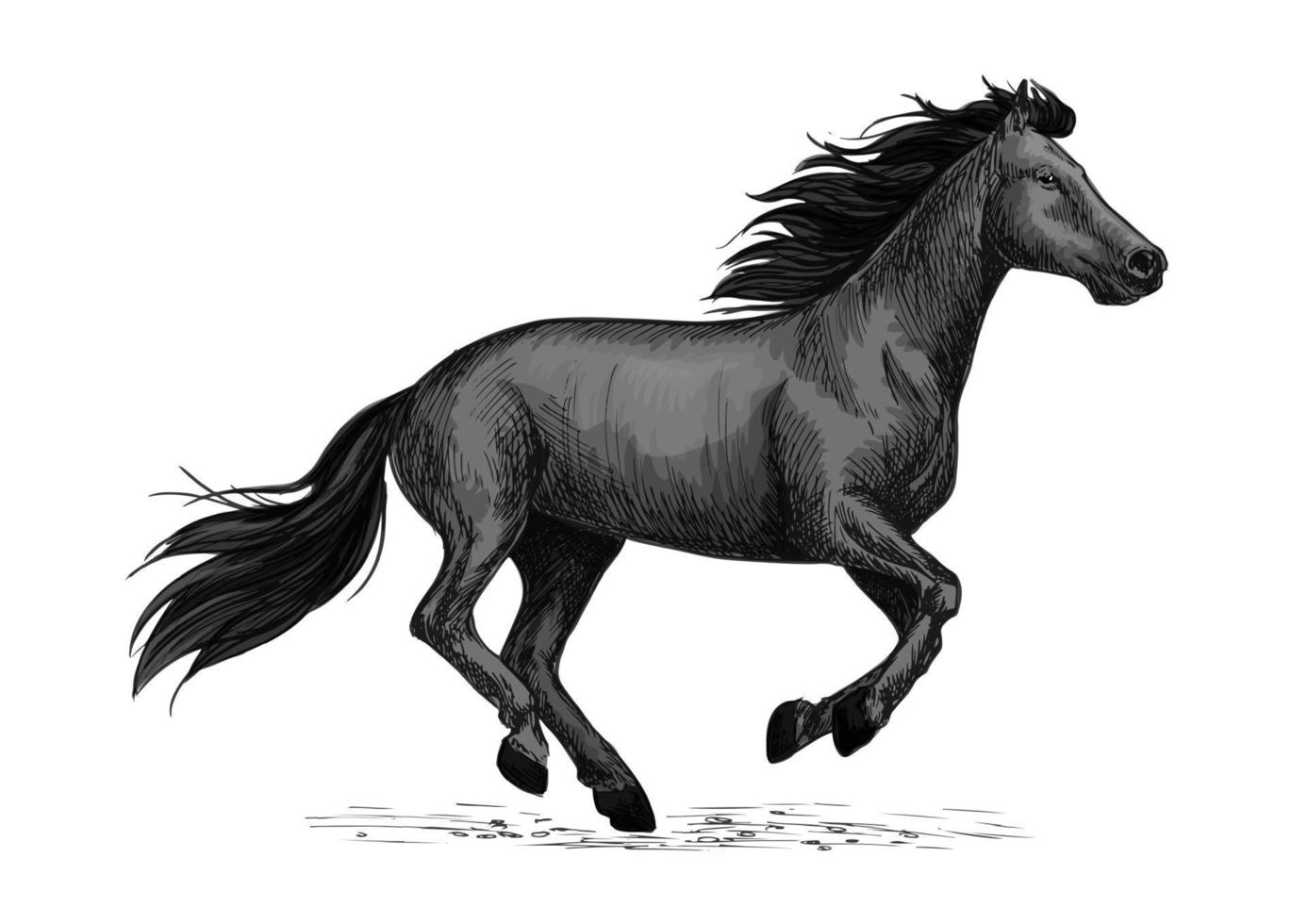 caballo negro corre boceto para diseño equino vector