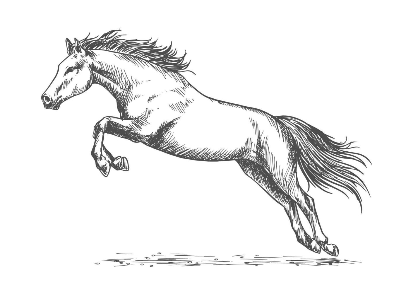 Race horse jumping high vector