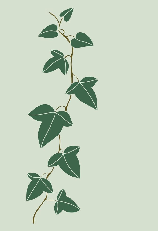 Simplicity ivy freehand drawing flat design. vector