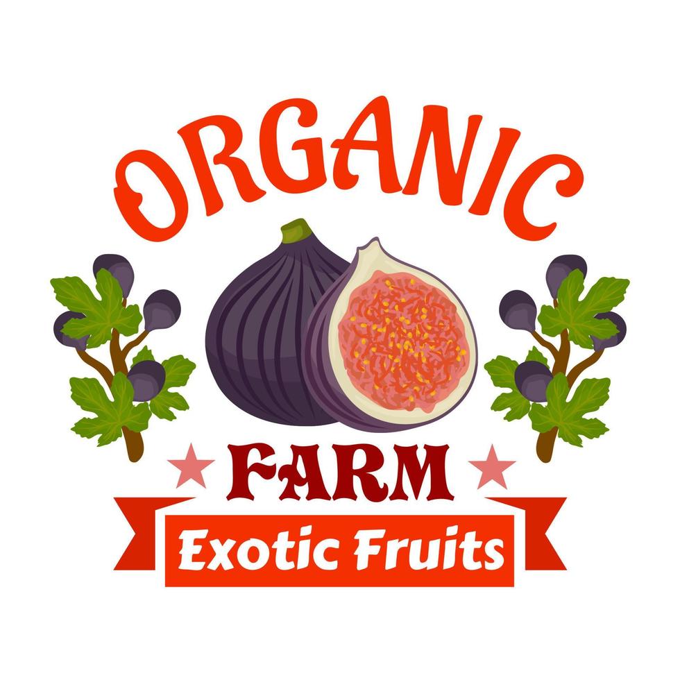 higos emblema de frutas exóticas orgánicas de granja vector