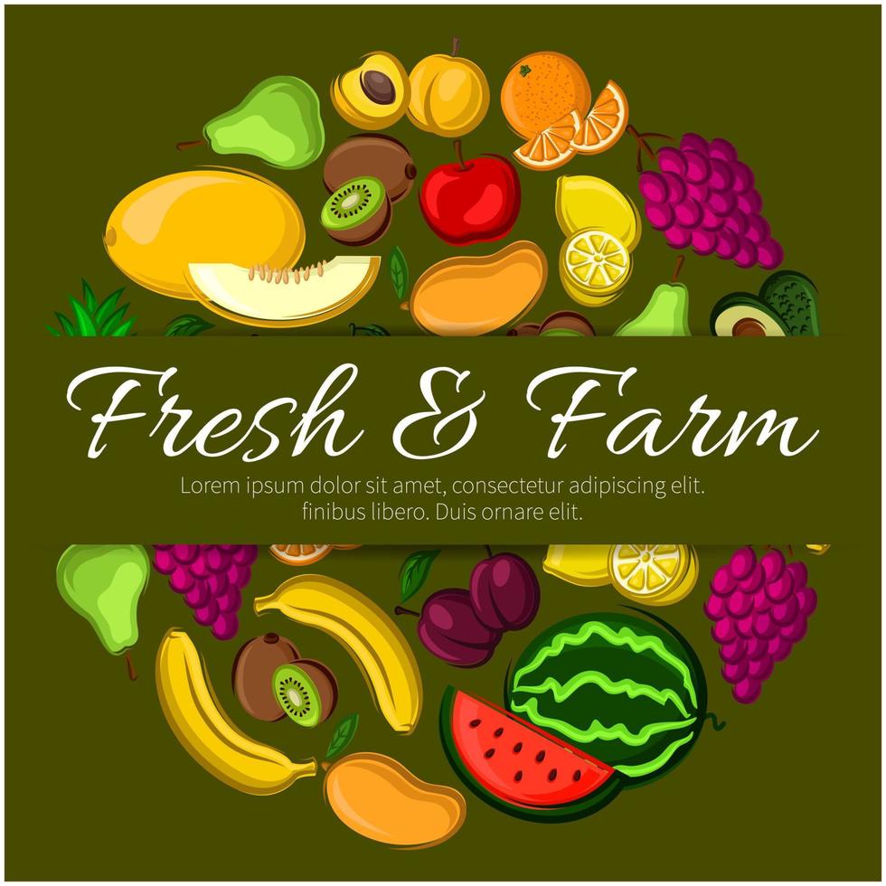 Fresh and farm fruits vector banner