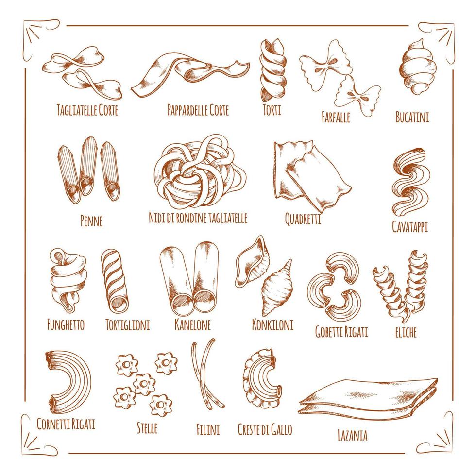 Pasta and macaroni sorts sketch vector icons