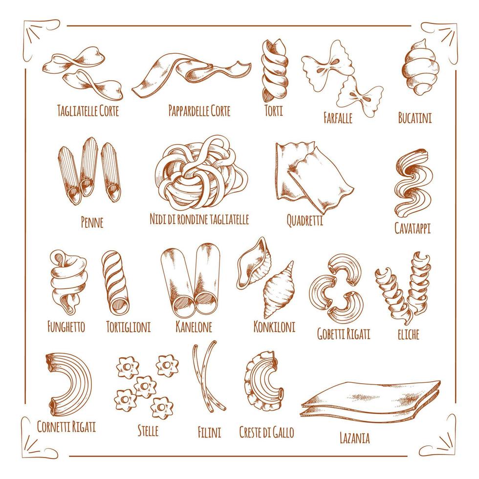 tipos de pasta y macarrones dibujar iconos vectoriales vector