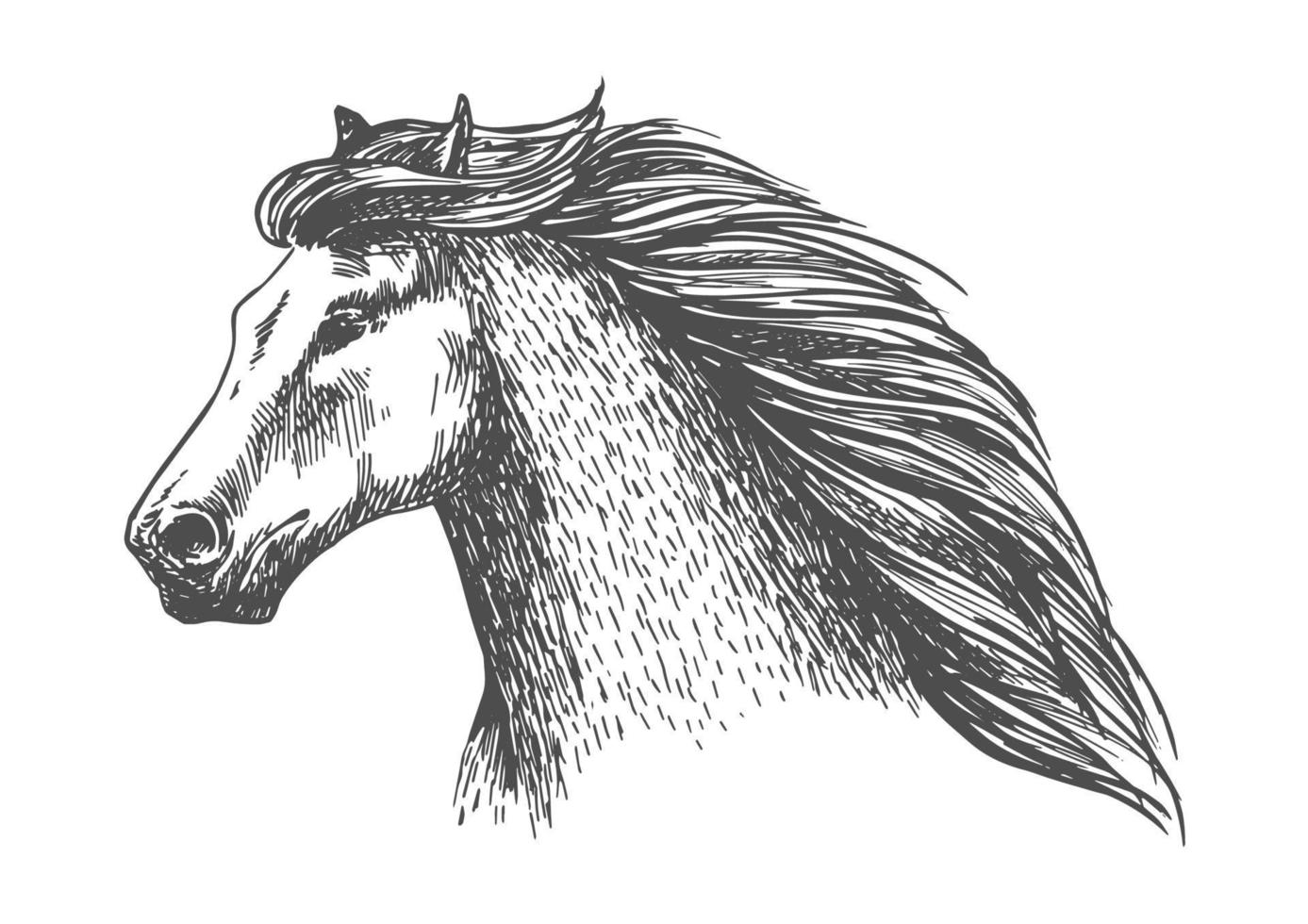 retrato de vector de carrera libre de caballo gris furioso