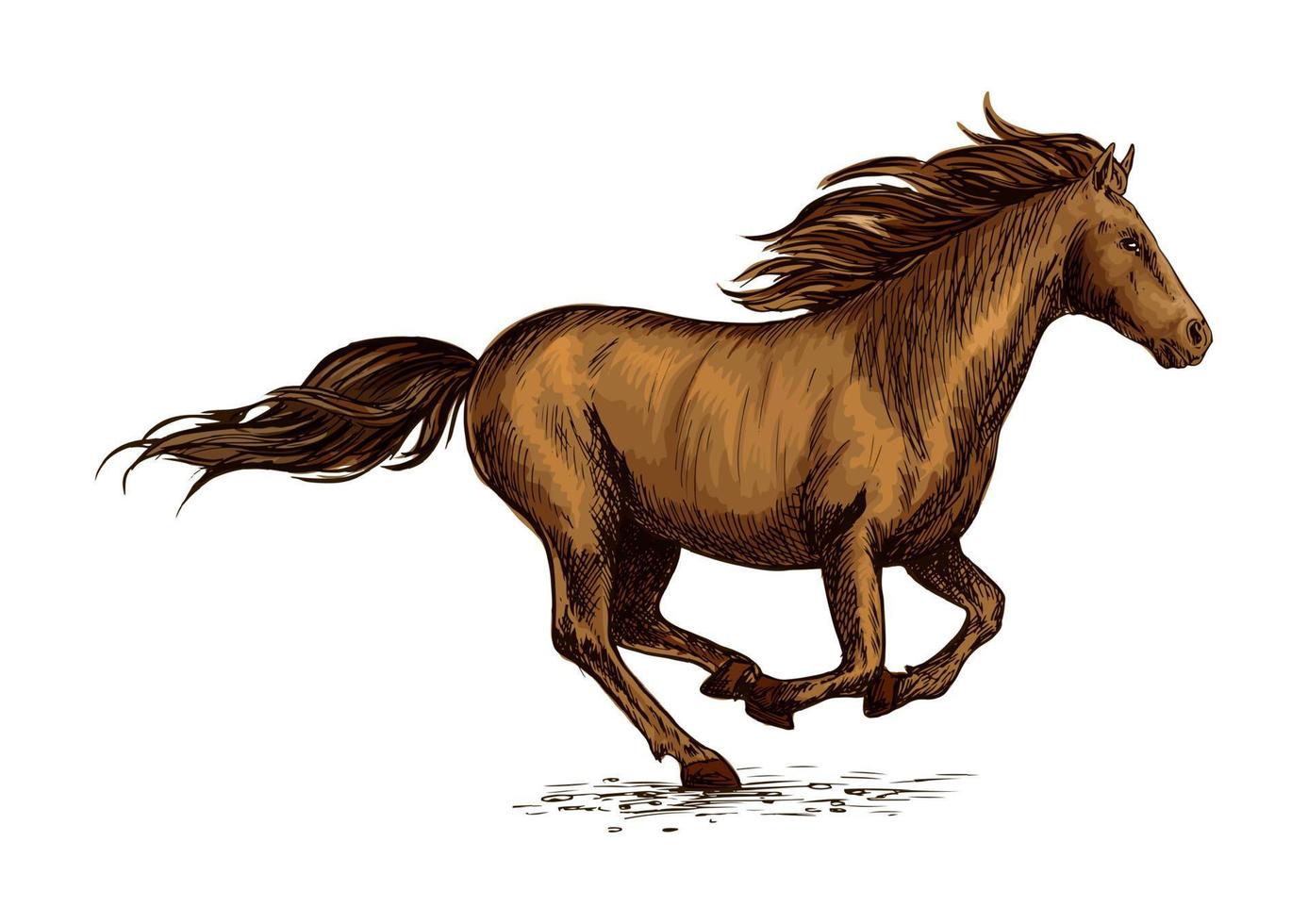 Running horse sketch for equestrian sport design vector