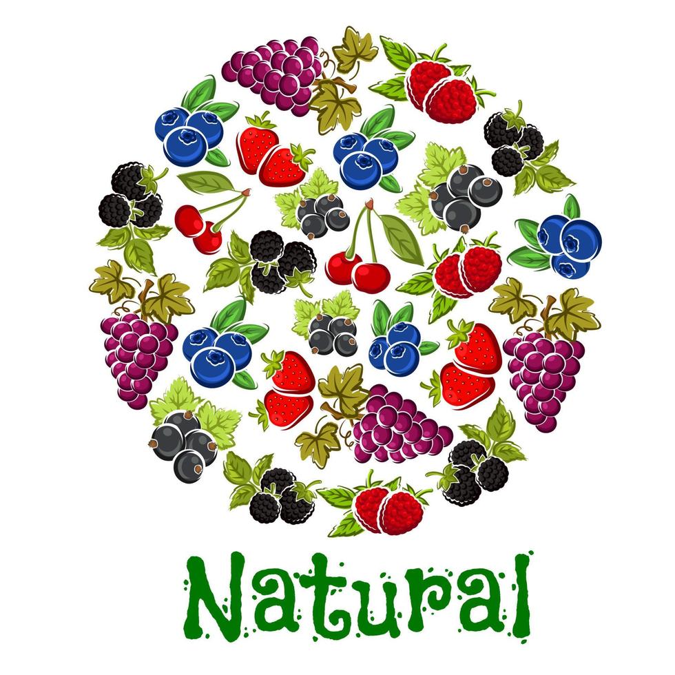 Natural fruits and berries in a shape of circle vector