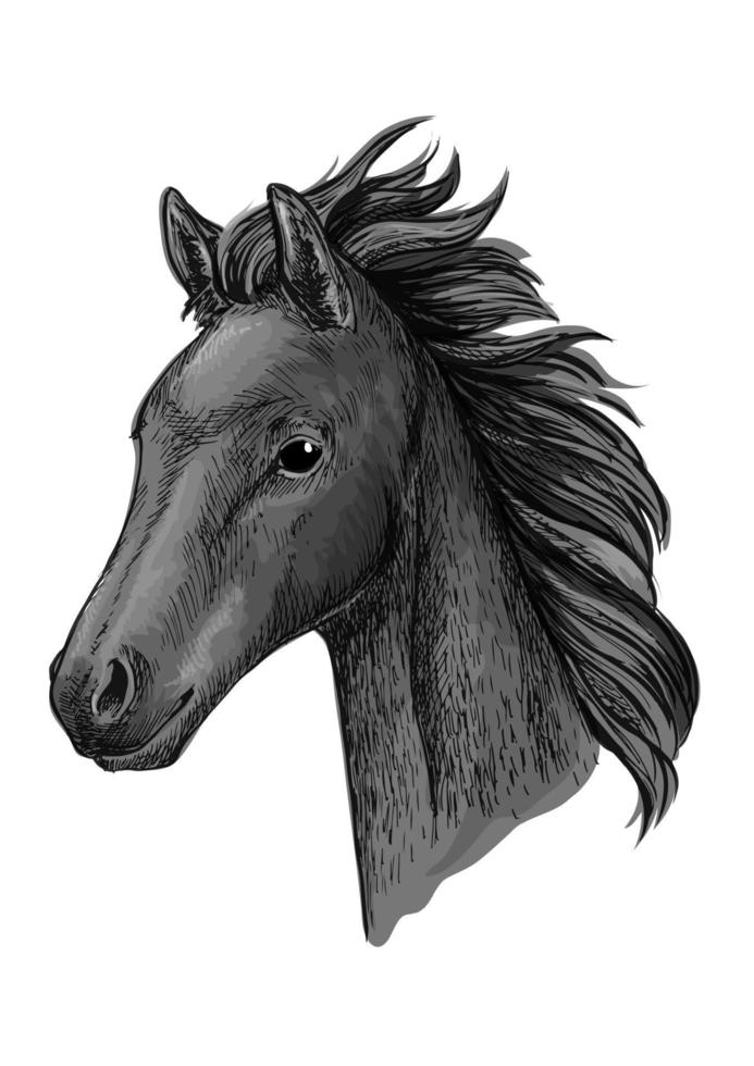 retrato de boceto de cabeza de caballo negro vector