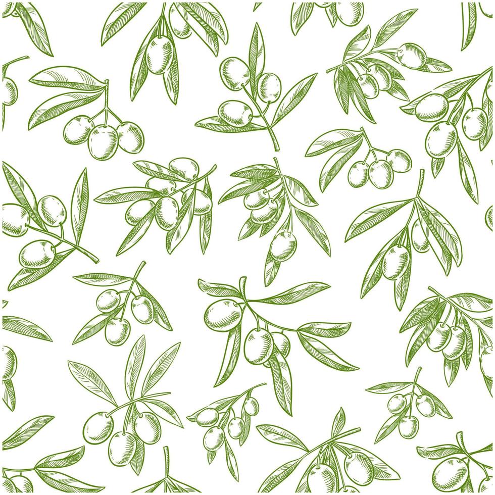 Olive fruit sketches seamless pattern background vector