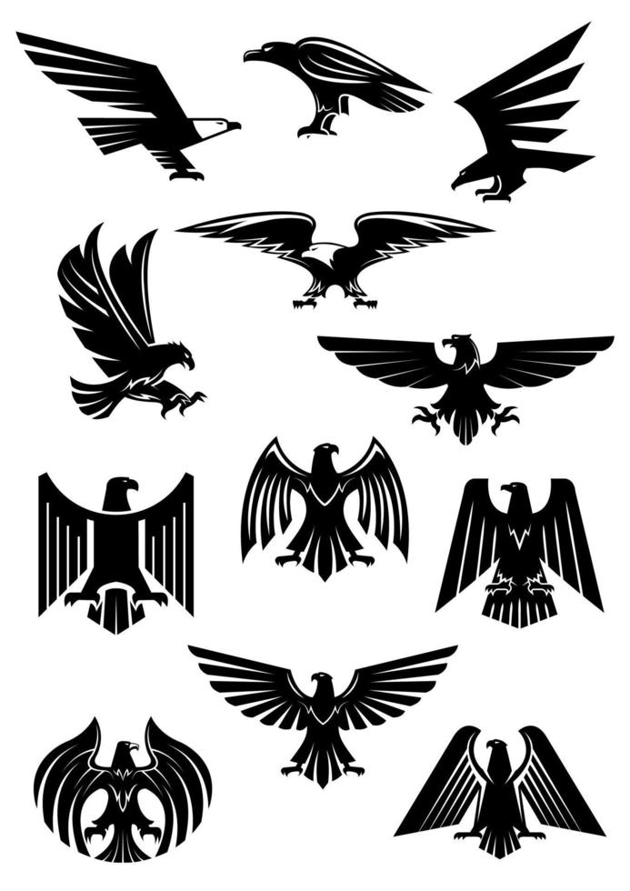 Eagle or falcon, aquila or hawk heraldic badge vector