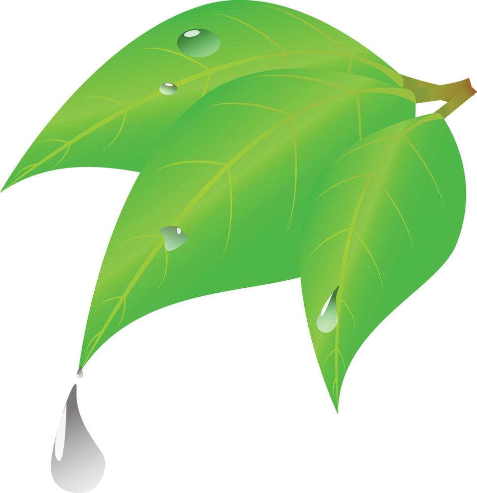 Flat vector image for logo, icon, leaf theme