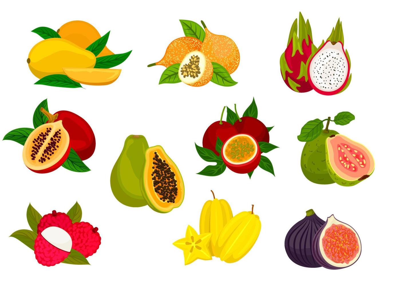 conjunto de iconos aislados de frutas tropicales exóticas vector