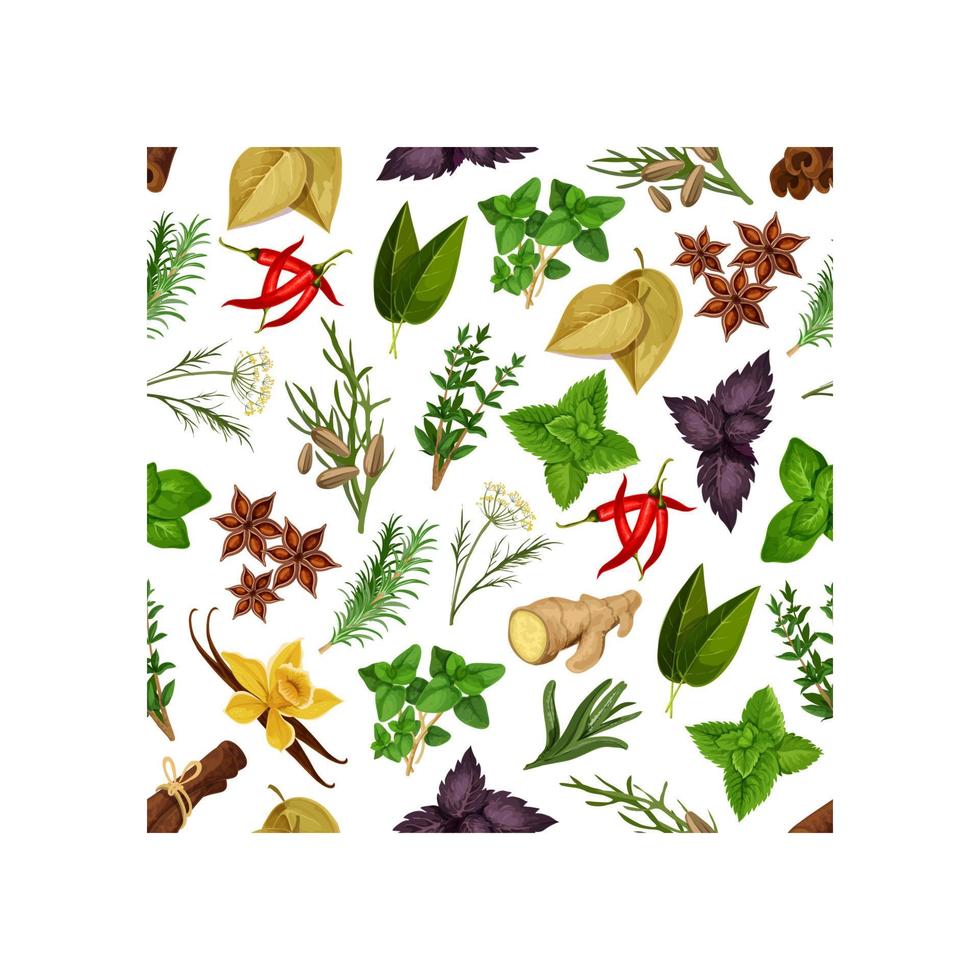 Herbs and spices seamless pattern vector