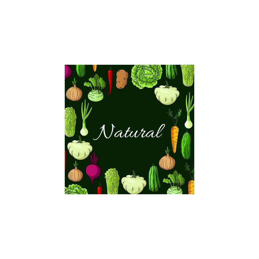 Healthy natural vegetables vector poster